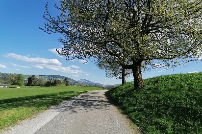 Kremstal Radweg